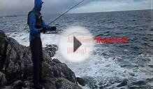 Pollock / Pollack Fly Fishing Northwest Highlands - Assynt
