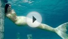 REAL MERMAID FOUND BY DIVER IN NORTH SEA 2016